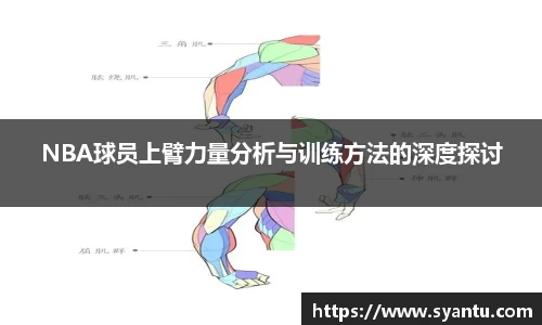 NBA球员上臂力量分析与训练方法的深度探讨